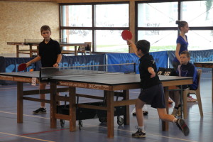 Championnats de la Loire (10-Fev-2013)